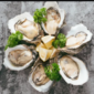 Oysters Dozen