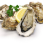 Redish Oysters